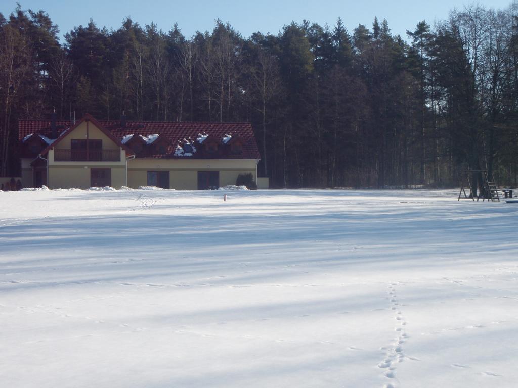 Penzion U Blatce Hotel Nove Hrady  Exterior photo